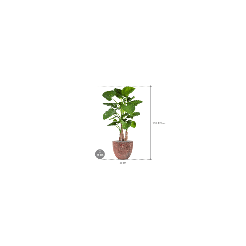 Alocasia Calidora in Vulcana Couple Roze - kunstplant