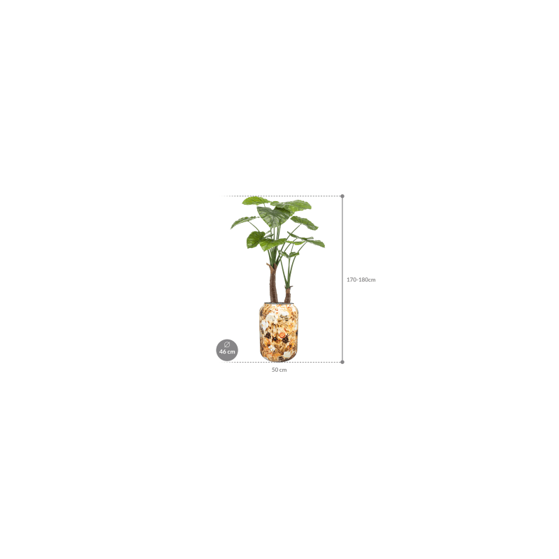 Alocasia vertakt in Designed by Lammie Cotton Cream - kunstplant