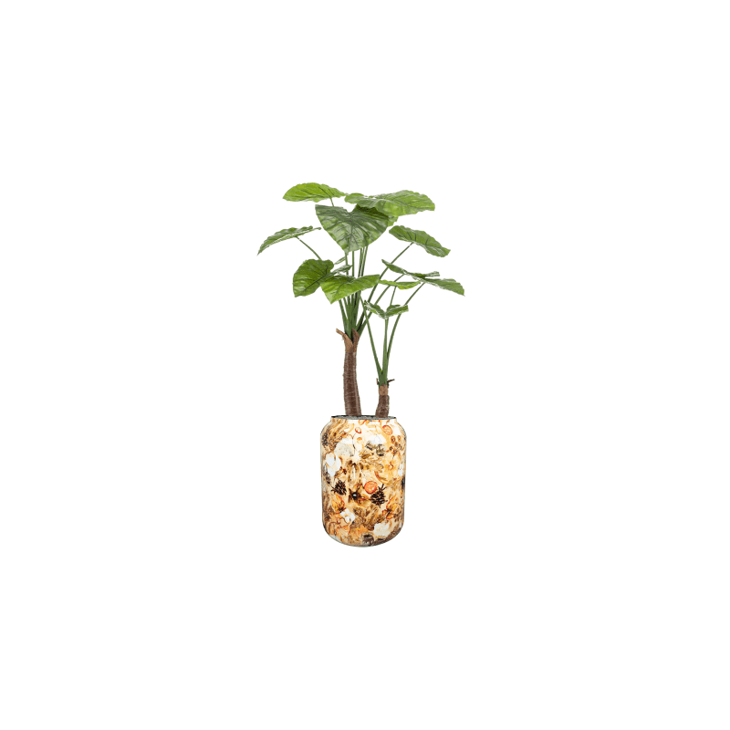 Alocasia vertakt in Designed by Lammie Cotton Cream - kunstplant