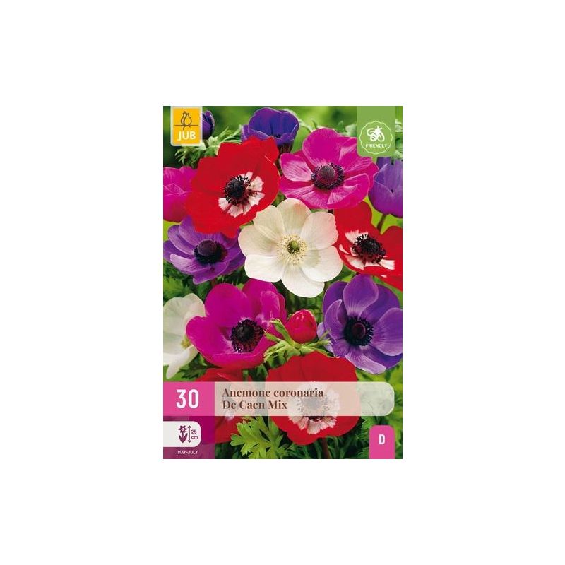 Anemone De Caen Mix