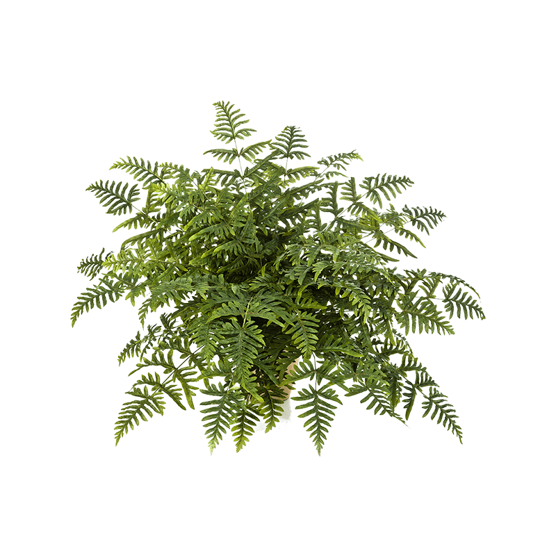 Varen Athyrium - kunstplant