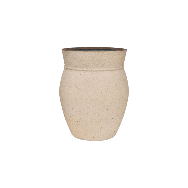 Mediterranean Apollo Sahara Zand