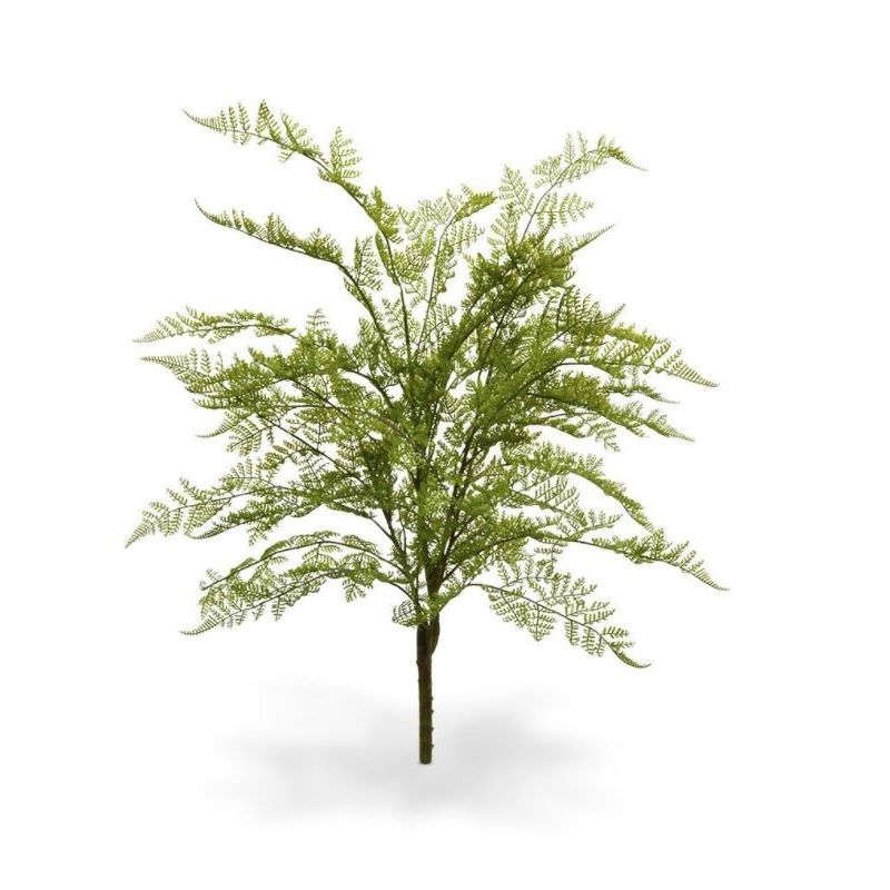 Varen Athyrium - kunstplant