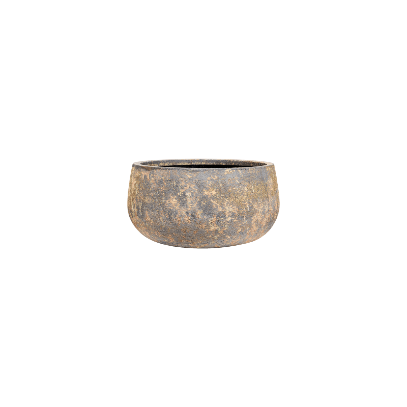 Atlas Bowl Bruin