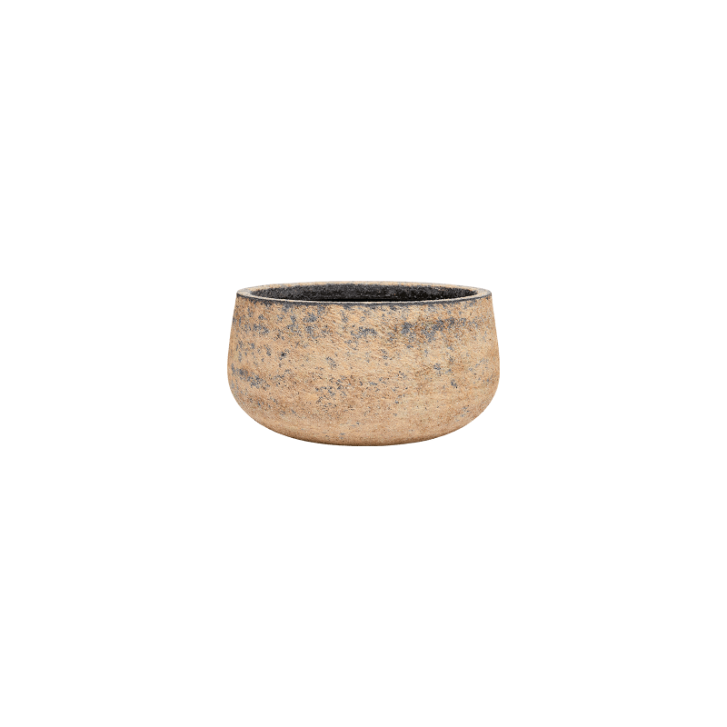 Atlas Bowl Bruin