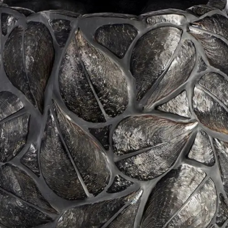 Atrina Shell Bowl