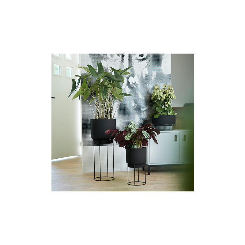 Elho B. for Studio Schaal Zwart