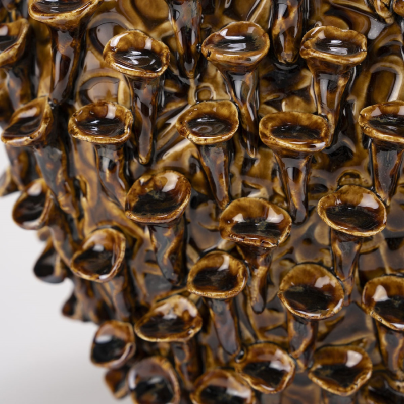 baixas ovaal hoog bruin