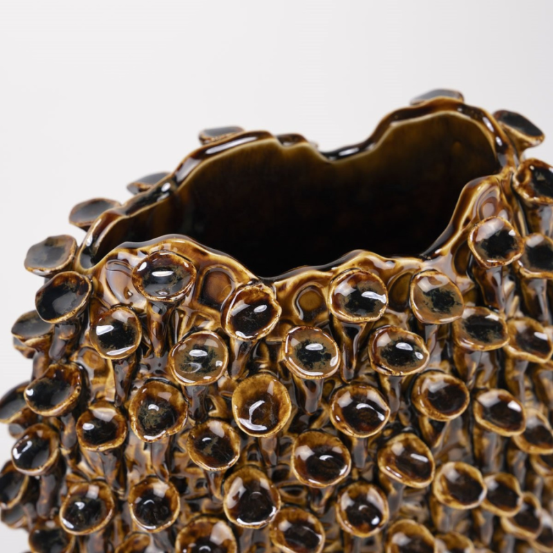 baixas ovaal hoog bruin