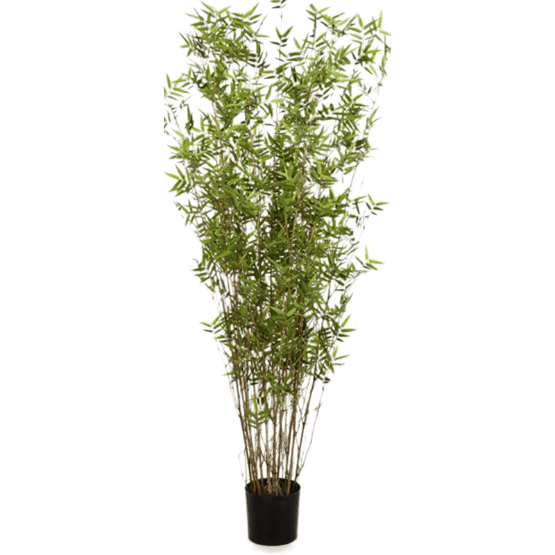 Bamboe Oriental XL - kunstplant