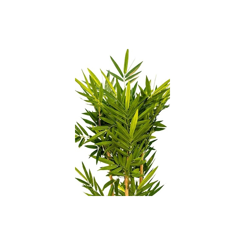 Bamboo Small - kunstplant