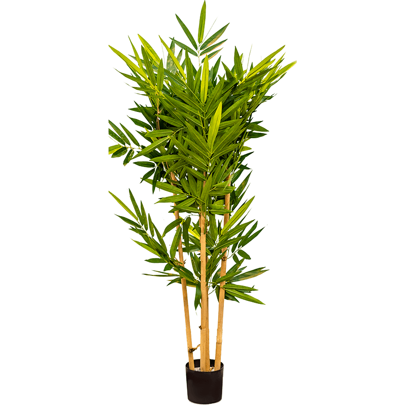 Bamboo Small - kunstplant