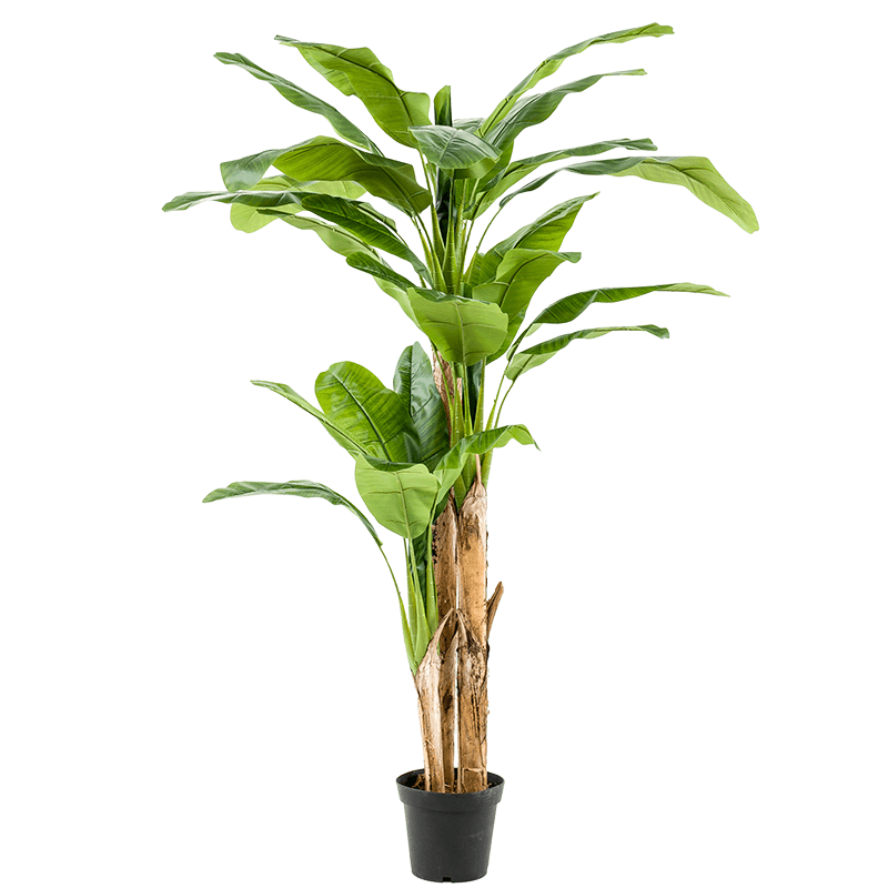 Bananenboom XL - kunstplant