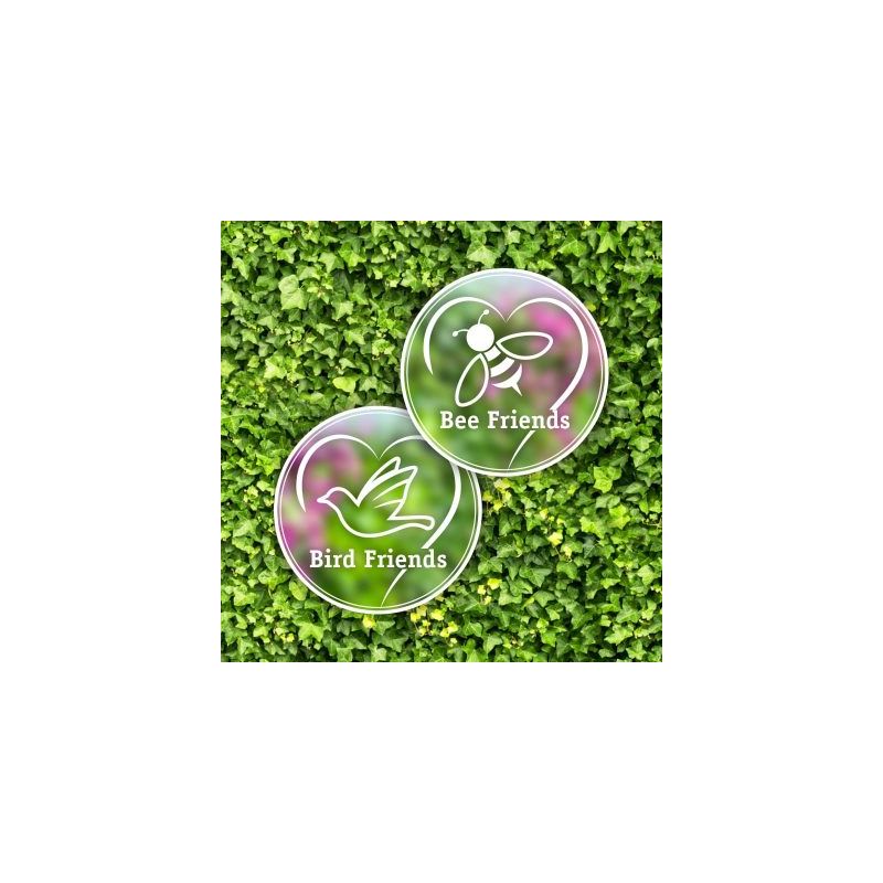 1 meter privacy met Clematis Madame Julia Correvon