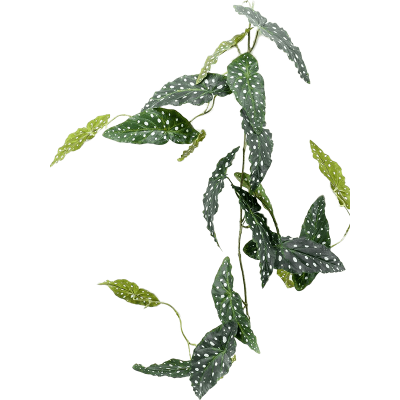 Begonia Maculata  - kunstplant