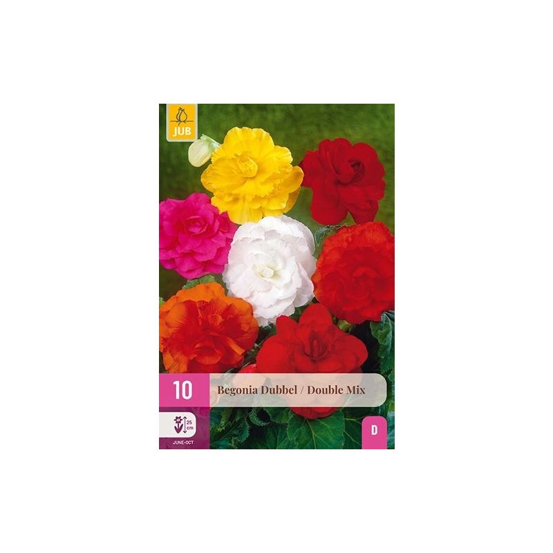 Begonia Dubbel Mix - 10 stuks