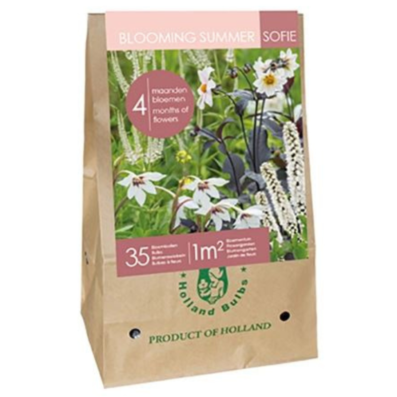 Blooming Summer Sofie