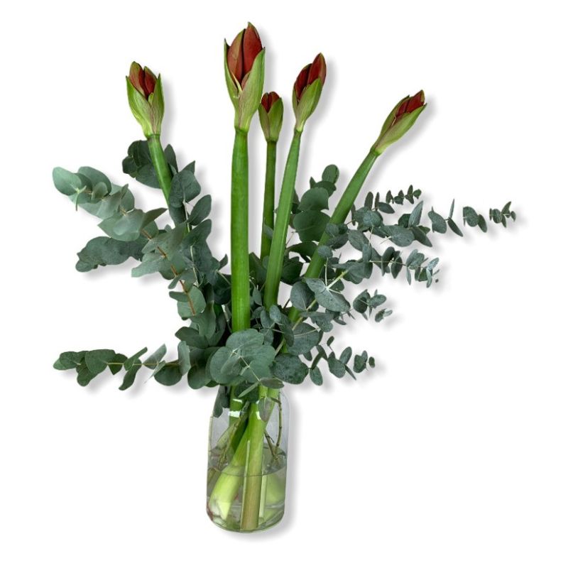 Boeket Amaryllis