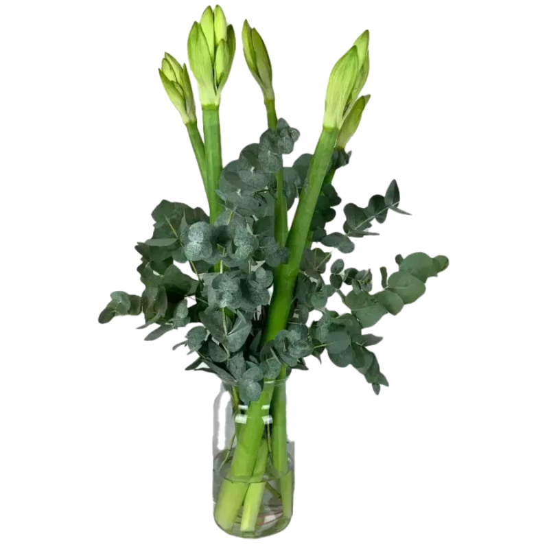 Boeket Amaryllis wit