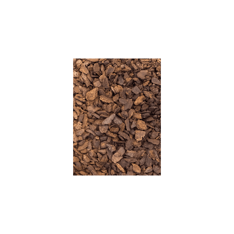 Ilex crenata in Artstone Bola bruin