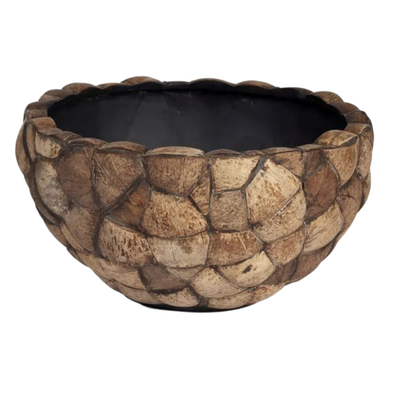 Bosco Bowl Coconut