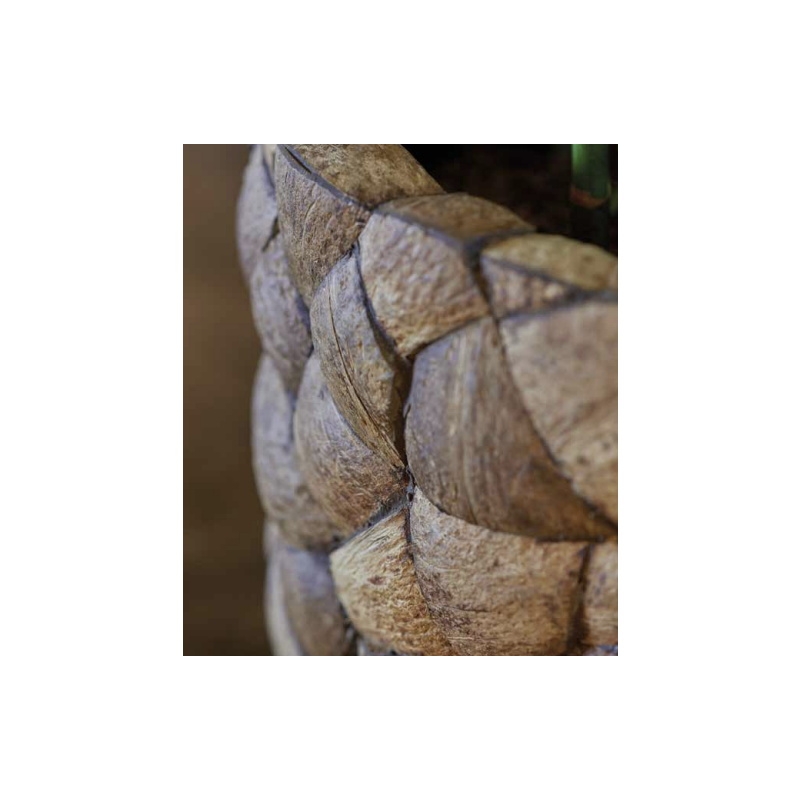 Bosco Globe Coconut