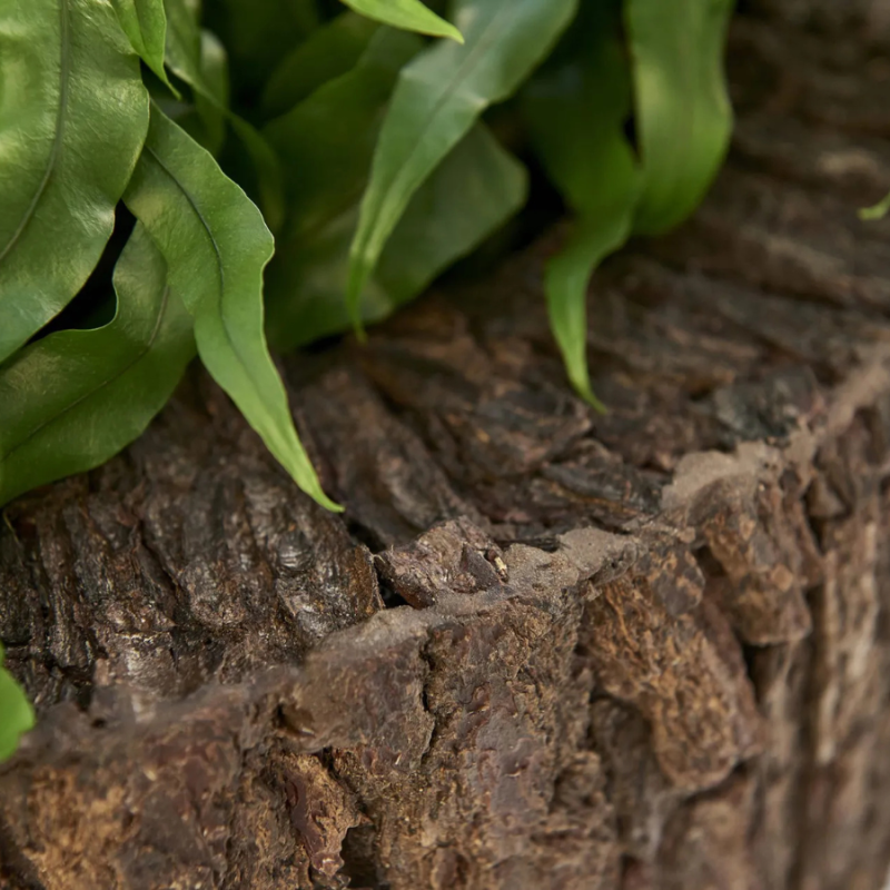 Bosco Wall Planter Bark