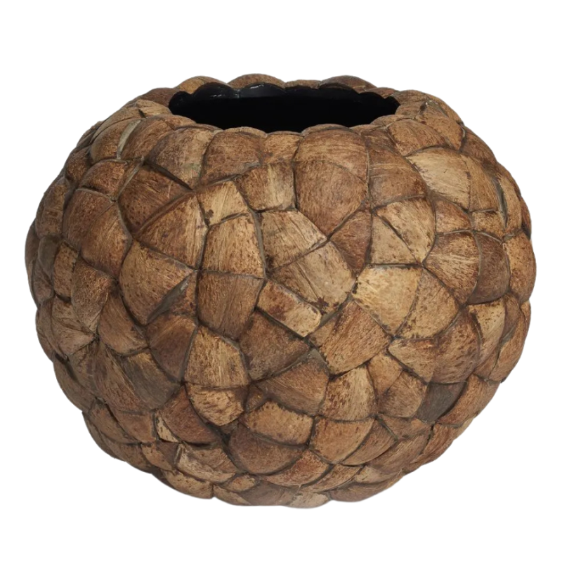 Bosco Globe Coconut