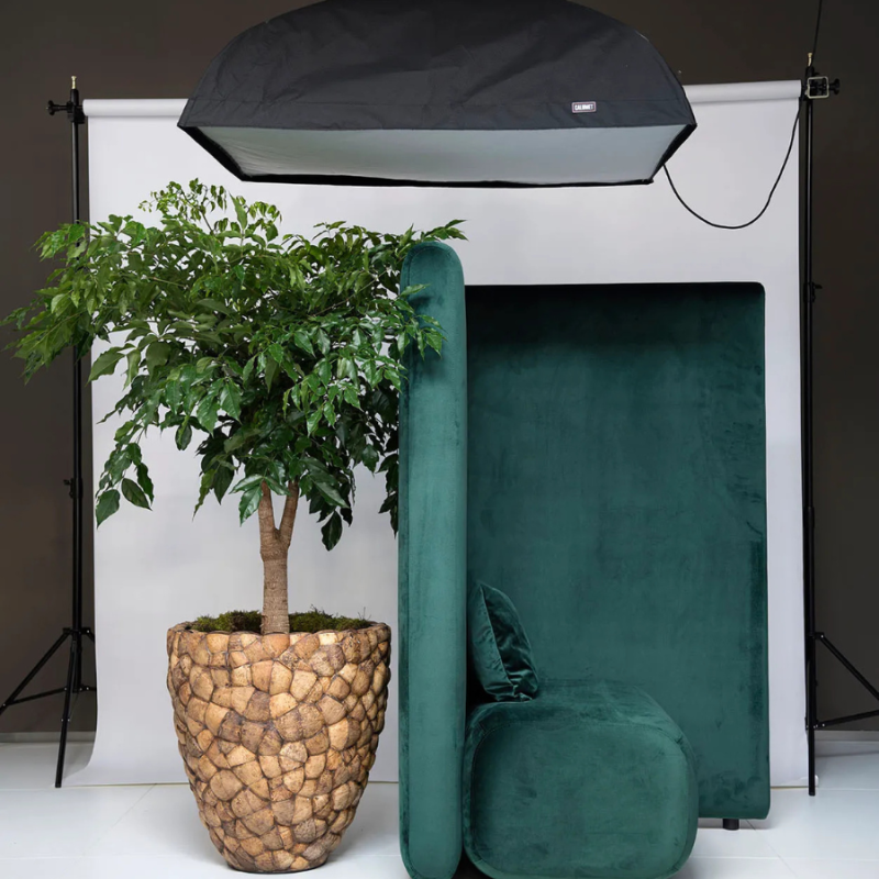 Bosco Pot Coconut