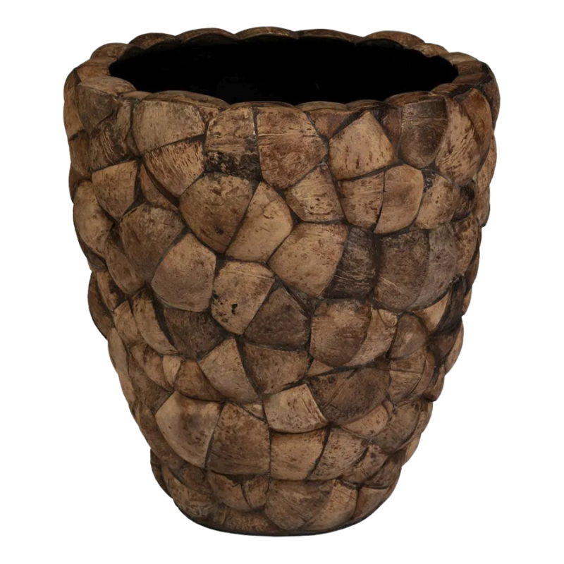 Bosco Pot Coconut