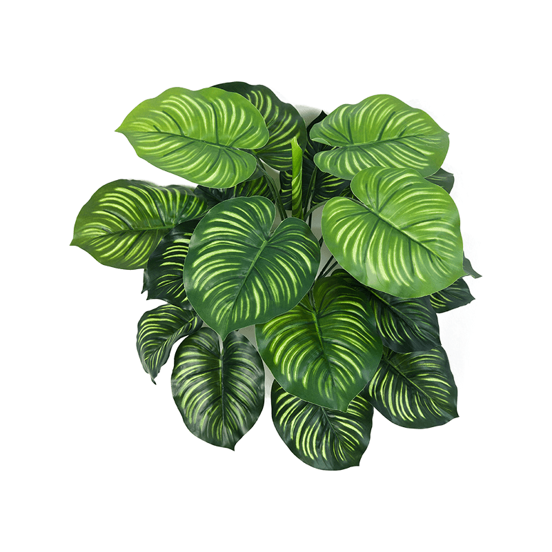 Calathea Orbifolia - kunstplant
