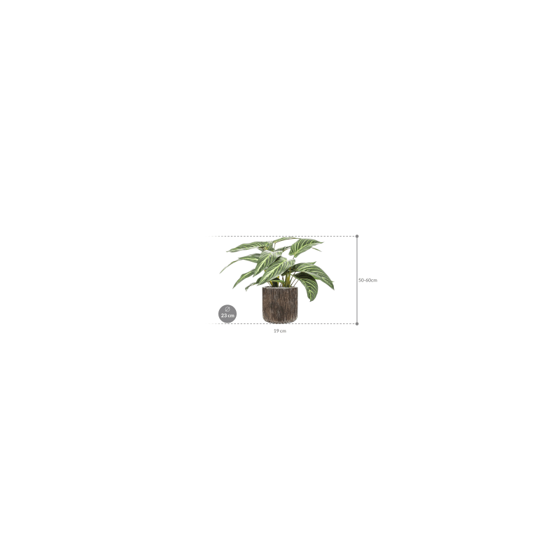 Calathea zebrina in Luxe Lite Universe Waterfall Cilinder - kunstplant