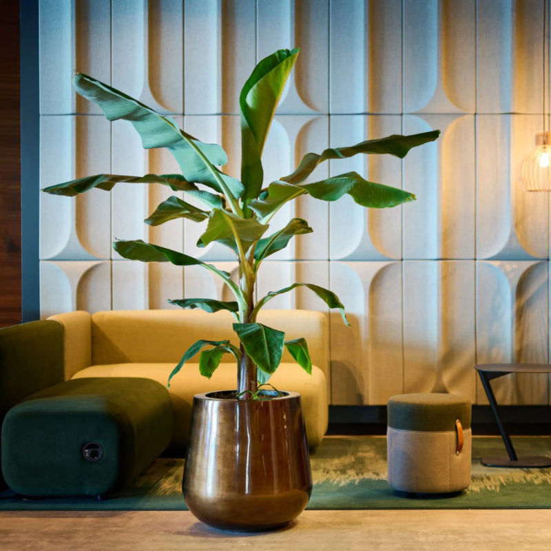 Caluya Planter Bronze