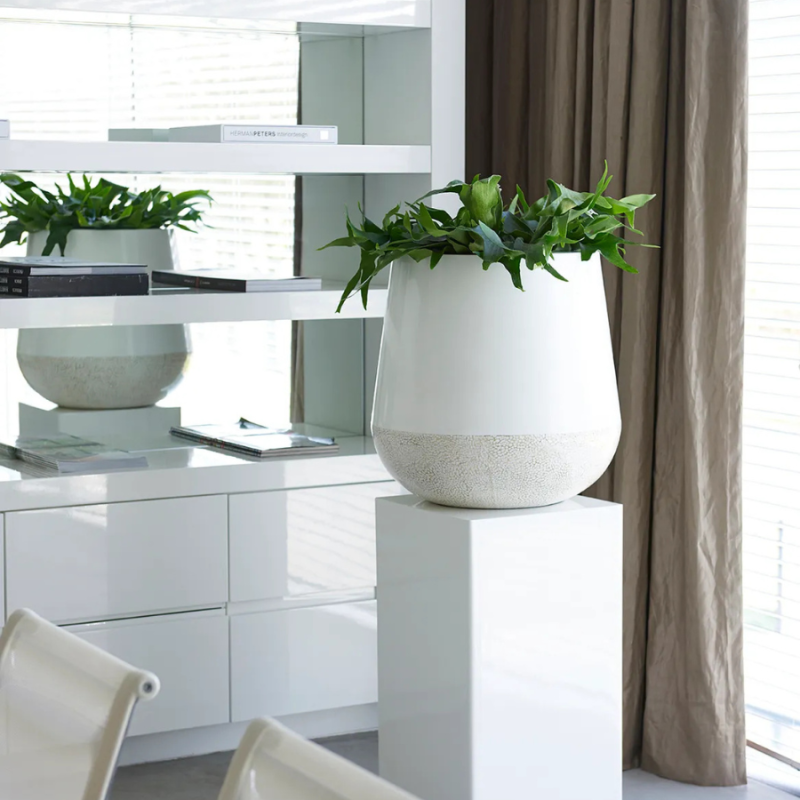 Caluya Planter White