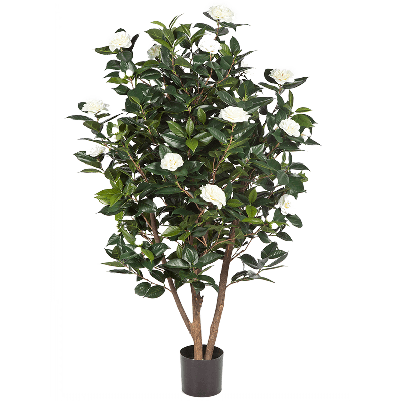 Camelia Japonica White - kunstplant