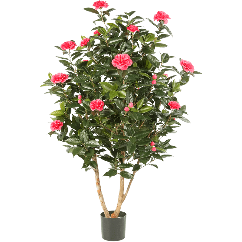 Camelia Japonica Roze - kunstplant