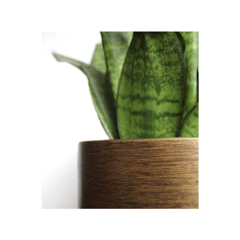 Capi Lux Retro Egg Goud