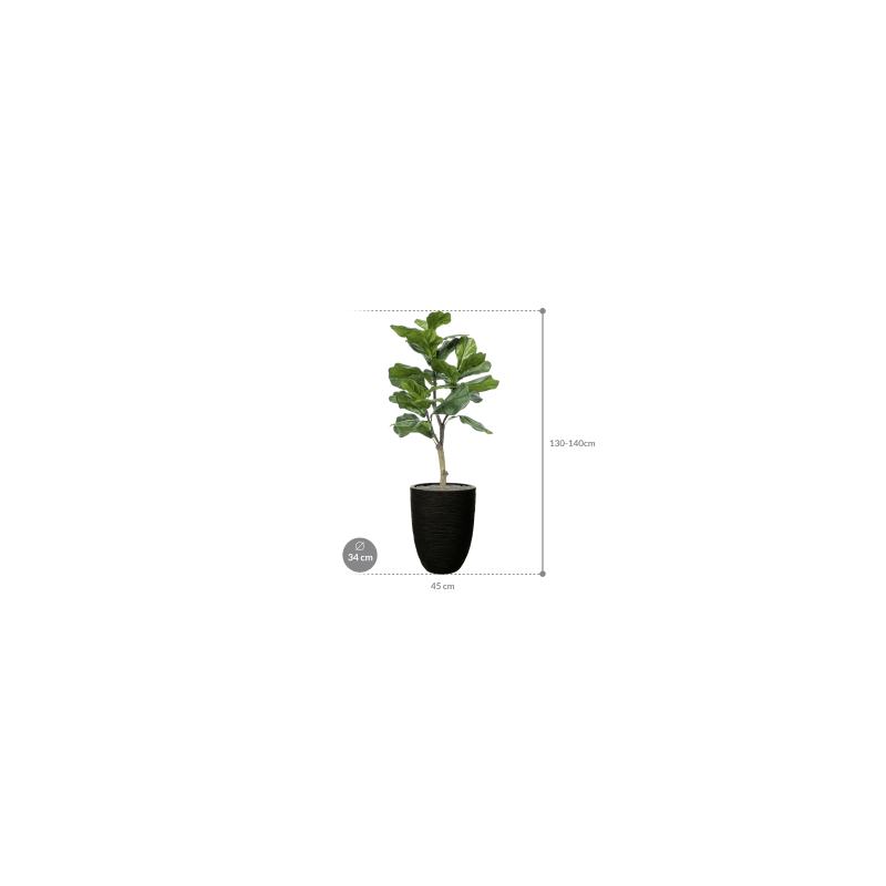 Ficus lyrata in Capi Nature Rib Vase Elegant Zwart - kunstplant