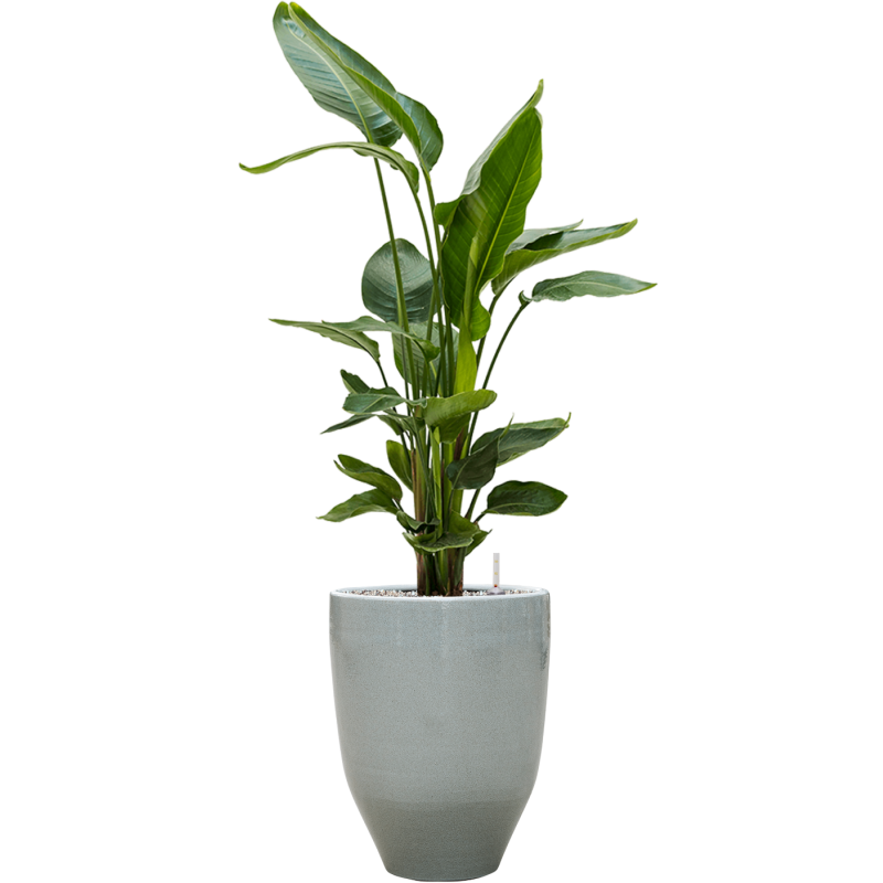 One and Only Reactive Grey