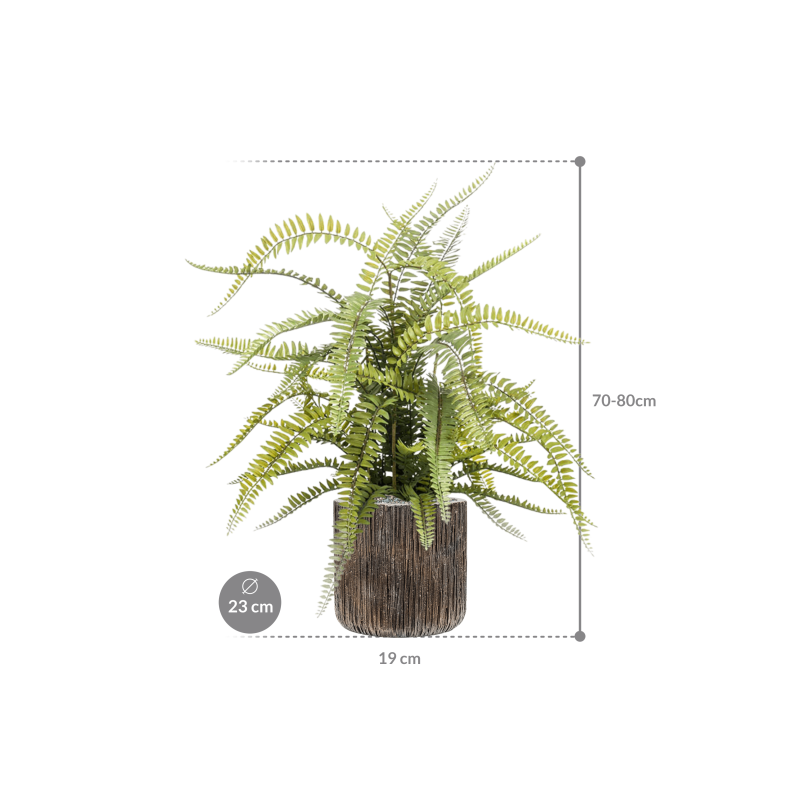 Fern Boston in Luxe Lite Universe Waterfall Cilinder - kunstplant