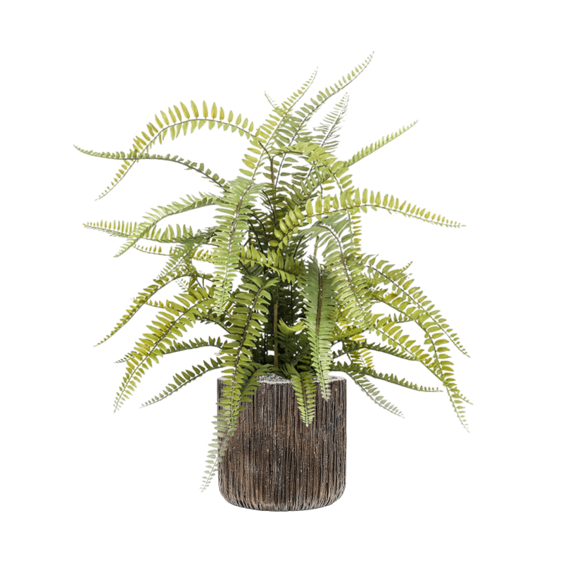 Fern Boston in Luxe Lite Universe Waterfall Cilinder - kunstplant