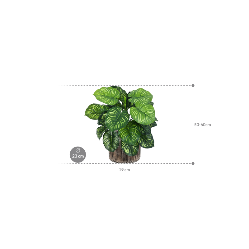 Calathea in Baq Luxe Lite Universe Waterfall - kunstplant