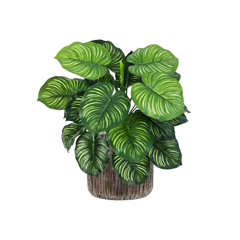 Calathea in Baq Luxe Lite Universe Waterfall - kunstplant