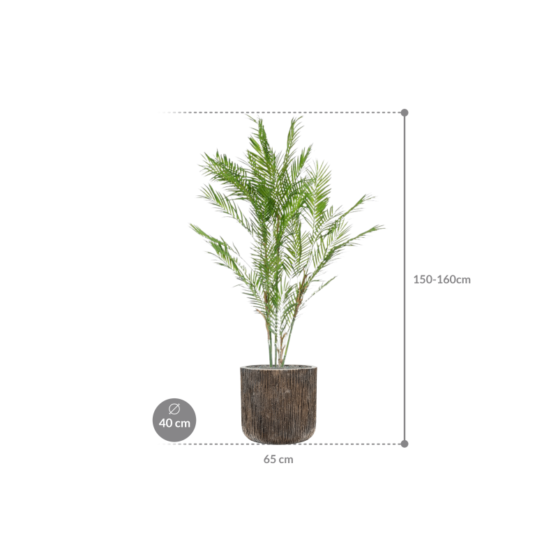 Chamaedorea in Baq Luxe Lite Universe Waterfall Cylinder Bronze - kunstplant