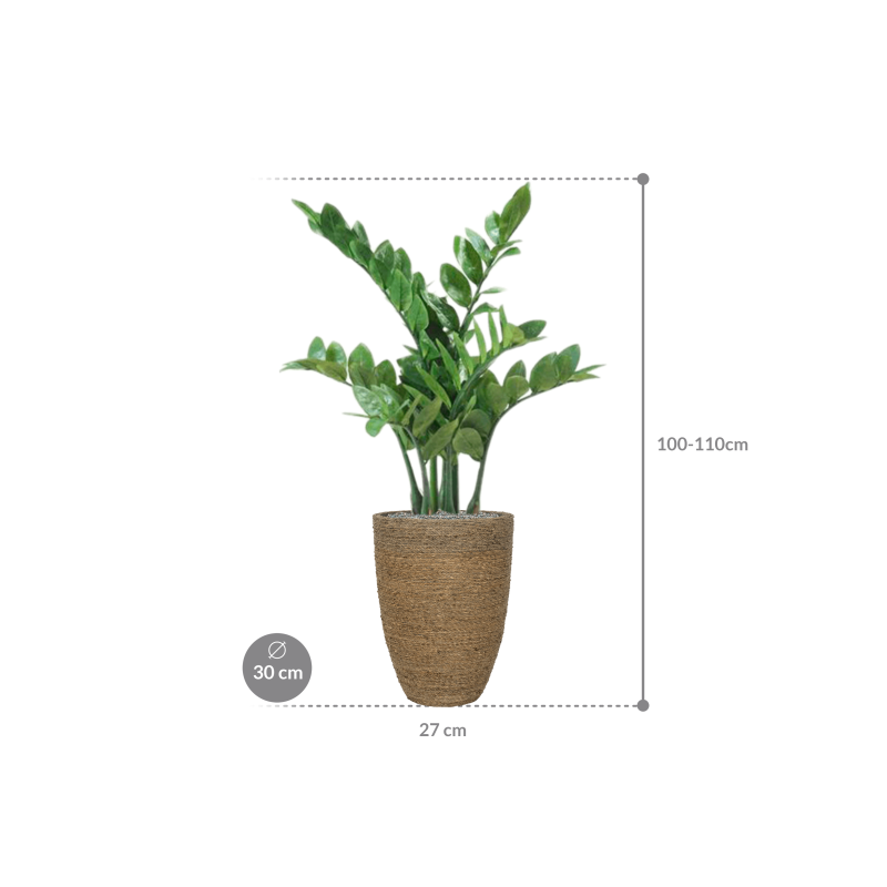Zamioculcas in Bohemian Straw Ben - kunstplant