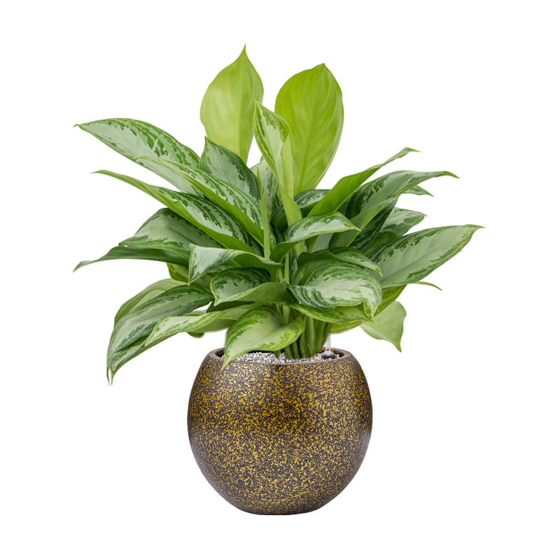 Capi Lux Terrazzo Bowl Goud