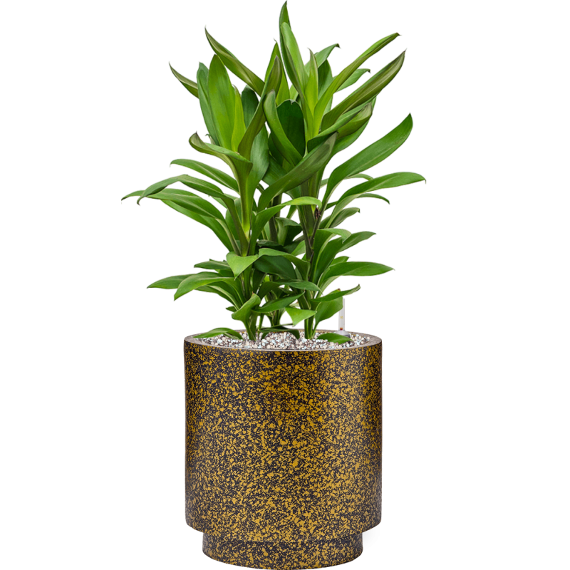 Capi Lux Terrazzo Cylinder Goud