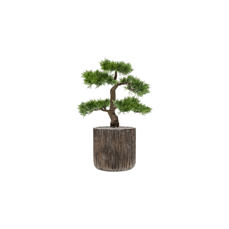 Cedar in Luxe Lite Universe Waterfall Cilinder - kunstplant