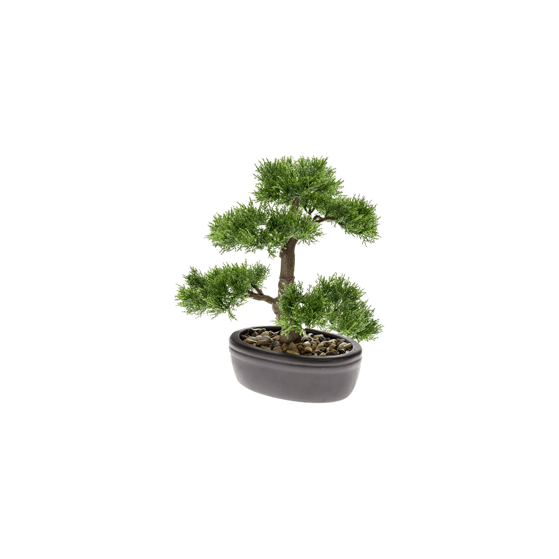 Cedar bonsai in schaal - kunstplant