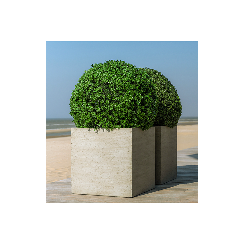 Cement Block